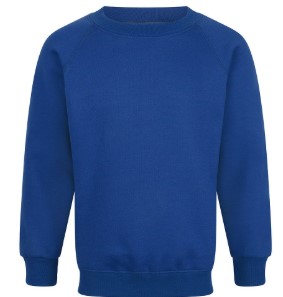 A plain navy blue sweatshirt.